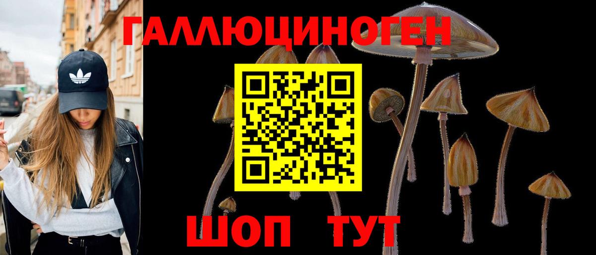 Ростов-на-Дону  Псилоцибиновые грибы GOLDEN TEACHER  Вход с VPN 